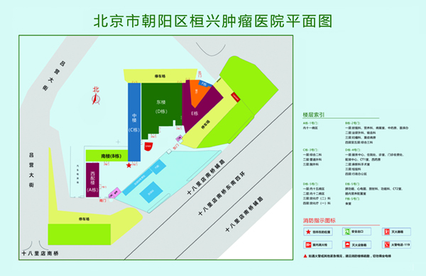 韩国少女咣咣操屄在线北京市朝阳区桓兴肿瘤医院平面图